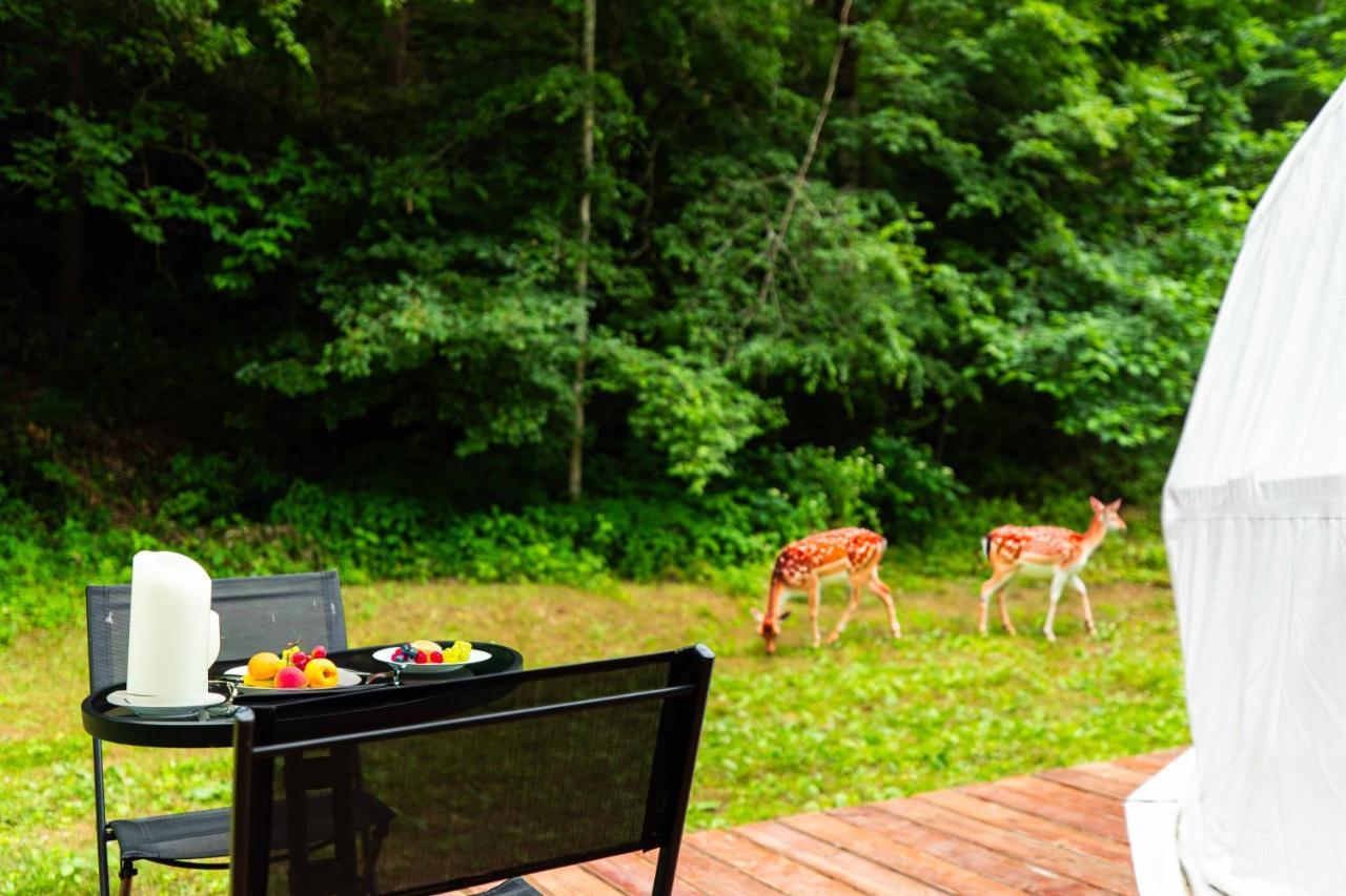 Solace Glamping 2 Sevierville Exteriör bild